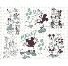 Ilustrație cu Mickey Mouse cu Donald Duck și Pluto