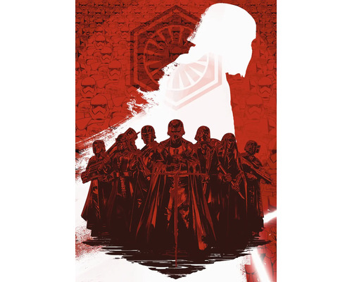 Ilustrație cu războinici cu căști și pelerine pe un fundal de stormtrooperi