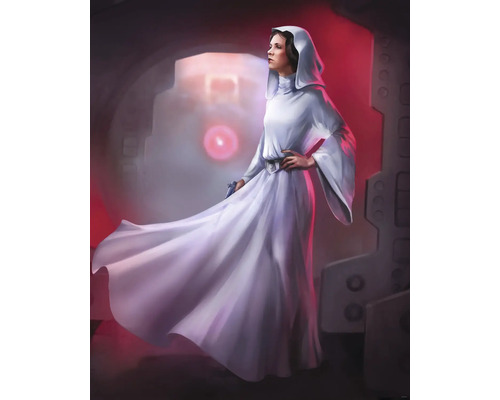 Fototapet vlies DX4-046 Disney Edition 4 Star Wars Classic Leia 200x250 cm Ilustrație cu o femeie cu glugă și rochie