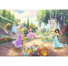 Ilustrație cu prințesele Disney într-o grădină
