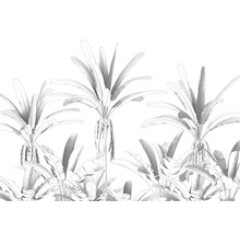 Ilustrație cu palmieri și plante tropicale