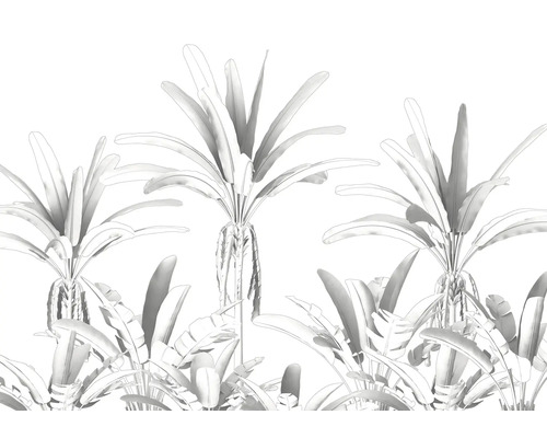 Ilustrație cu palmieri și plante tropicale