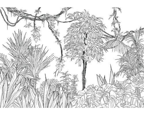 Ilustrație a unei scene de junglă tropicală cu diverse plante