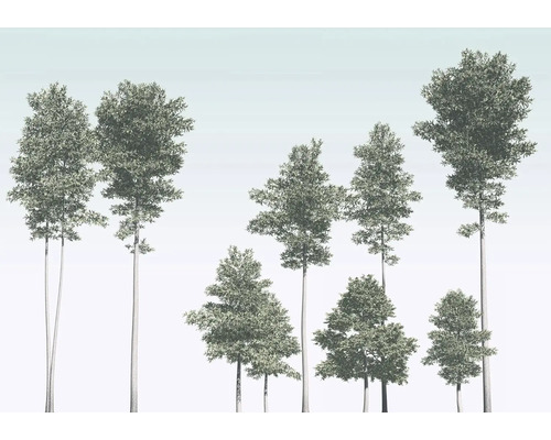 Ilustrație cu diverși arbori foioși