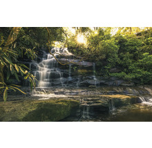 Cascadă în cascadă în pădure cu vegetație luxuriantă