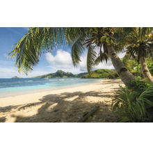 Scenă tropicală de plajă cu palmieri și mare albastră
