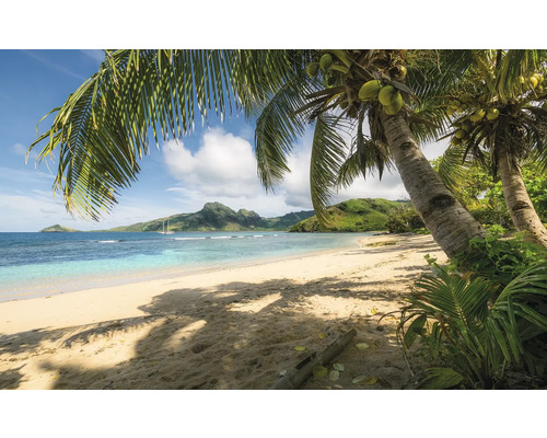 Scenă tropicală de plajă cu palmieri și mare albastră