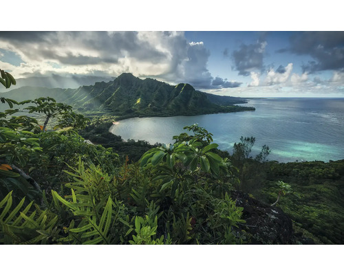 Peisaj cu munți, coastă și vegetație tropicală
