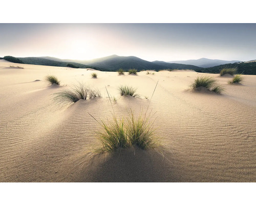 Peisaj cu dune de nisip, iarbă și munți în fundal