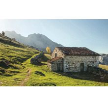 Casă de piatră într-un peisaj verde cu munți