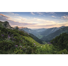 Peisaj montan cu pante verzi și plante cu flori