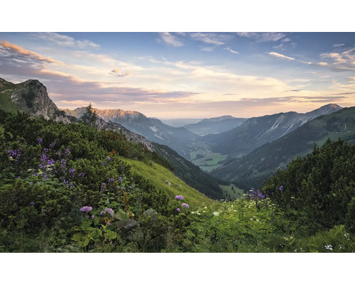 Peisaj montan cu pante verzi și plante cu flori