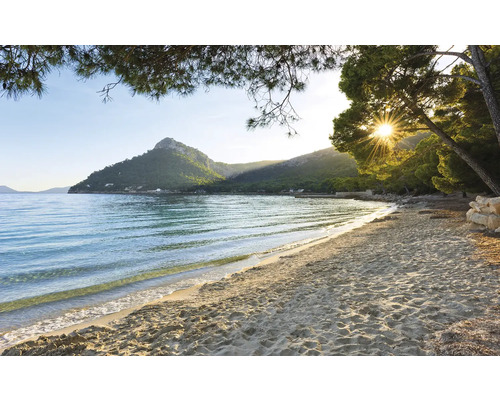 Peisaj de plajă cu mare, nisip și copaci