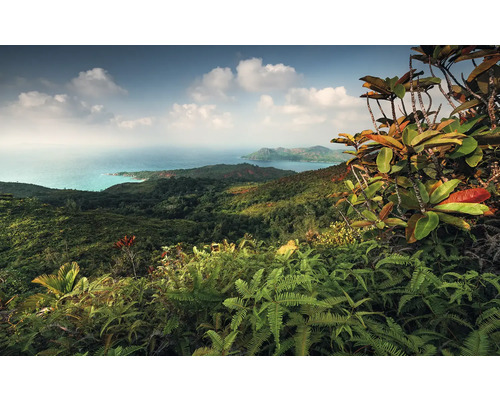 Imagine panoramică a unui peisaj tropical deluros cu vedere la mare