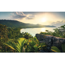 Peisaj tropical cu vedere la mare, vegetație luxuriantă și stânci