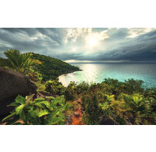 Peisaj tropical cu vedere la mare, plajă și vegetație