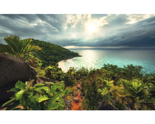 Peisaj tropical cu vedere la mare, plajă și vegetație