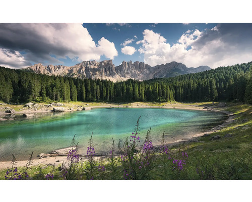 Peisaj cu lac de munte, pădure și lanț muntos