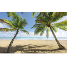 Plajă tropicală cu palmieri și cer albastru