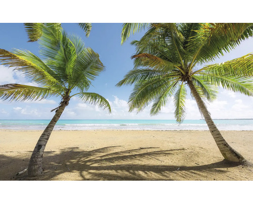 Plajă tropicală cu palmieri și cer albastru