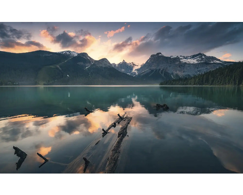 Lac montan cu trunchiuri de copaci și peisaj montan