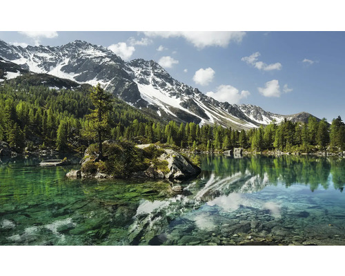 Lac de munte cu copaci și munți acoperiți de zăpadă în fundal