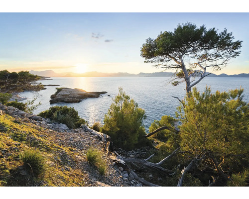 Peisaj cu coastă, mare și copaci