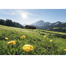 Peisaj cu pajiște cu flori, cabană montană și panoramă montană