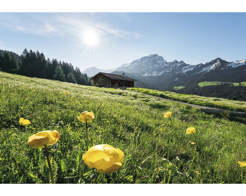 Peisaj cu pajiște cu flori, cabană montană și panoramă montană