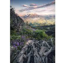 Peisaj montan cu stânci, plante cu flori și vedere spre o vale