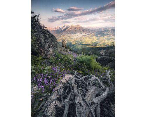 Peisaj montan cu stânci, plante cu flori și vedere spre o vale