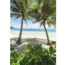 Vedere la plajă cu palmieri și vegetație