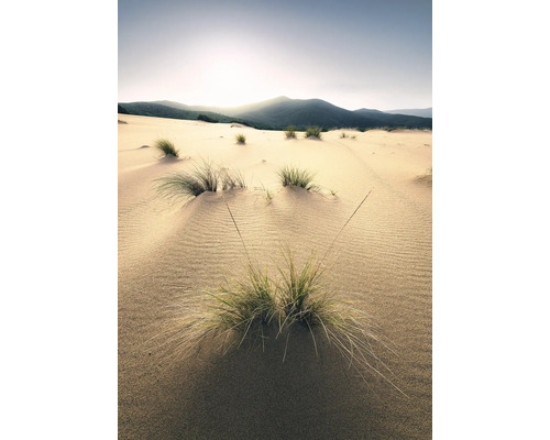 Dune de nisip cu iarbă și munți în fundal