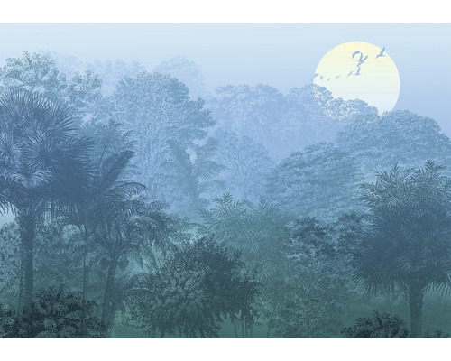 Fototapet vlies INX8-052 Deep in the Jungle 400x280 cm Tapetă vlies cu motiv de pădure și răsărit de soare