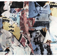 Perete cu postere rupte și inscripții.