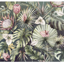Ilustrație cu diverse plante tropicale