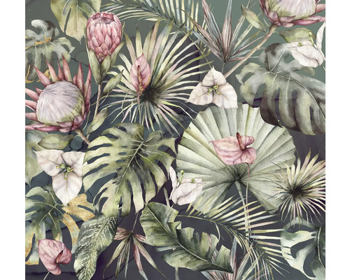 Ilustrație cu diverse plante tropicale
