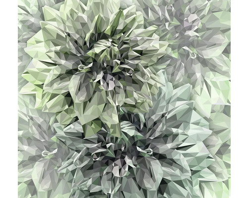 Fototapet vlies INX6-036 Emerald Flowers 300x280 cm Reprezentare abstractă a unei dalii cu forme geometrice