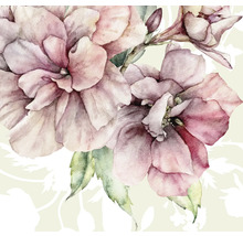 Ilustrație cu flori roz