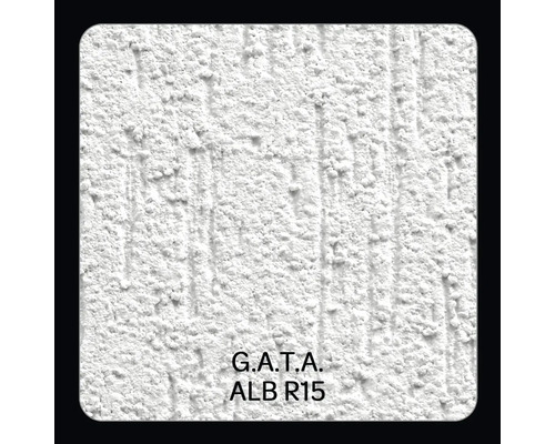 Prim-plan cu o structură de tencuială albă G.A.T.A. ALB R15