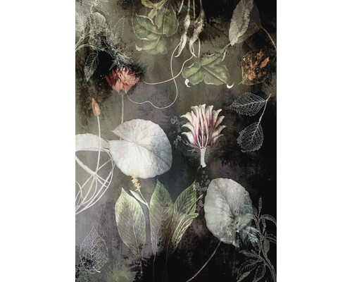 Fototapet vlies INX4-044 Night Flowers 200x280 cm Decorațiuni decorative de perete cu motive botanice