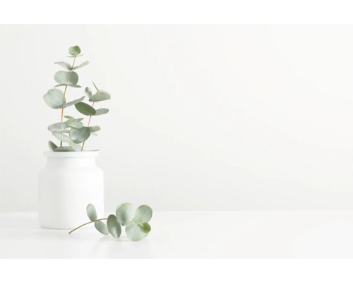 Eucalipt într-o vază albă ca decor de masă