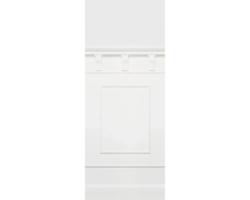 Panou de perete cu cadru și muluri decorative