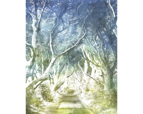 Alee cu copaci și drum