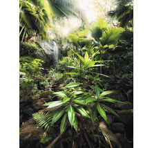 Junglă cu cascadă și vegetație luxuriantă