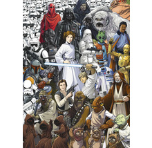 Ilustrație cu diverse personaje Star Wars