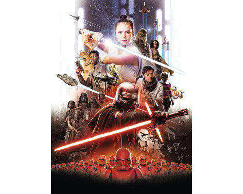 Fototapet hârtie 4-4113 Disney Edition 4 Star Wars EP9 Movie Poster Rey 184x254 cm Poster cu personaje din Star Wars: Ascensiunea lui Skywalker