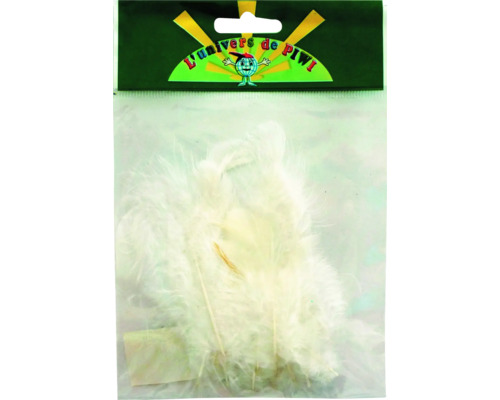 Pachet de pene albe pentru lucru manual