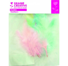 Pene pentru lucru manual într-un ambalaj