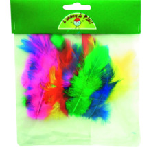 Pene decorative în diferite culori într-un pachet.